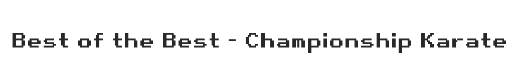 Best of the Best - Championship Karate